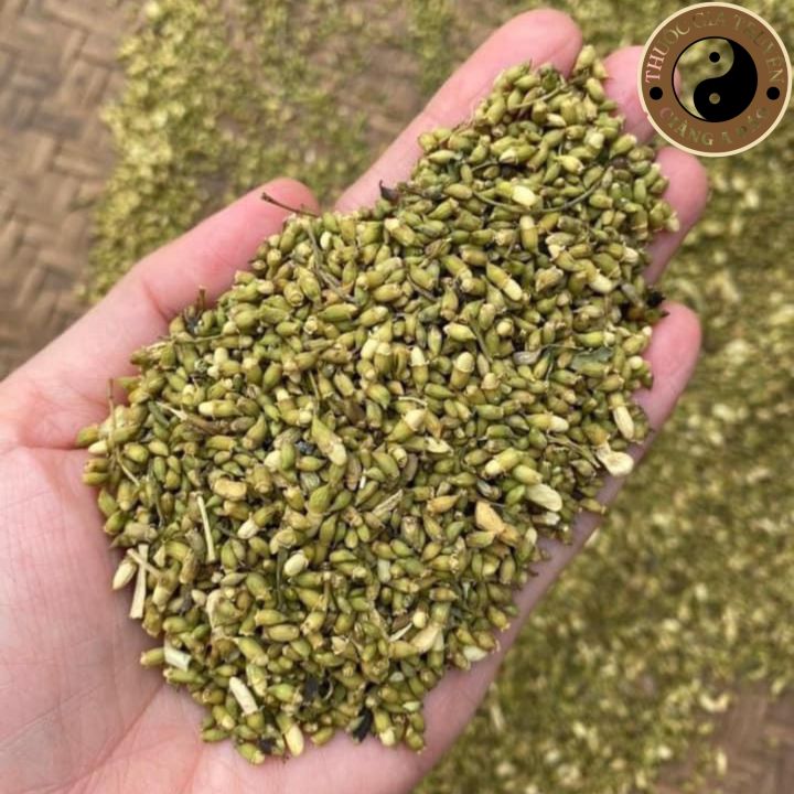 Trà nụ hoa hoè sấy khô, sao vàng 1kg, thơm loại 1. Nụ hoa hoè khô Thái ...