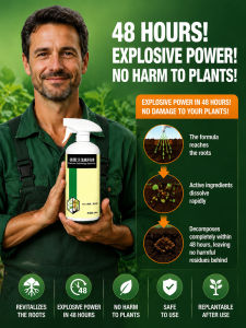 🌳 RootX Root Rot Remover for Trees/Bamboo/Grass Stump Killer /  / Targeted Conductive Formula / Powerful Root Decay Solution [One spray to sterilize and uproot] Targeted conductive root rot remover for trees bamboo and grasses.