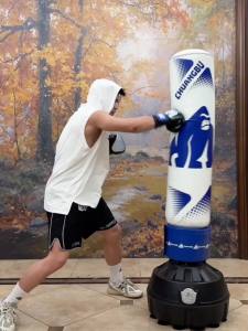 Training Fitness Boxing Punching Bag Punching Bag Standing Boxing Bag Strong Suction Cup Rapid Rebound Training Fitness Boxing Punching Bag