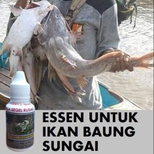 BAYAR DI TEMPAT Essen Untuk Ikan Baung Sungai
