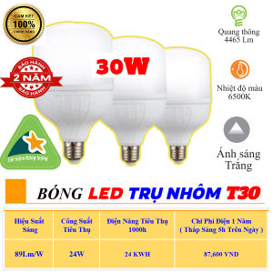 BÓNG ĐÈN LED TRỤ NHÔM CAO CẤP 65w 60W 50W 40W 30W 20W 15W 10W 5W chính hãng tản nhiệt nhôm CIR>85% siêu sáng tiết kiệm điện năng