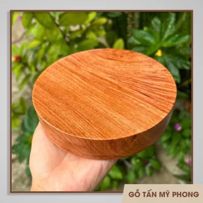 Miếng Gỗ Tròn Decor Trang Trí Nhà Cửa Gỗ Tự Nhiên | Kệ Tròn | Đôn gỗ Tròn