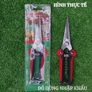 Kéo cắt tỉa cành cây SK5 Japan bằng thép không gỉ- Kèm lò xo sơ cua