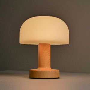 SXH Creative round mushroom lamp metal LED Table Lamp USB Soft light night light for bedroom bedside decoration