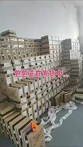 Womens Single Shoulder Crossbody Bag 2025 New Fashion Small Square Bag pvc Mobile Phone Bag Large Capacity Handheld Womens Bag Trendy