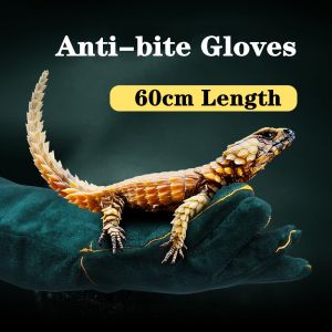 Pets Bite Gloves Anti-bite Gloves for Catch Dog Cat Reptile Animal Ultra Long Leather Safety Grasping Biting Protective Glove