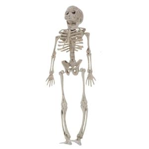 โครงกระดูกสมจริงพร้อมข้อต่อที่สามารถเคลื่อนย้ายได้สำหรับบ้านฮาโลวีนหลอนในร่มและกลางแจ้ง