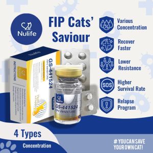 Predator Raw Life Nulife FIP Oral Tablet Cat Treatment for FIP GS441524 Concentration 80mg (6kg)