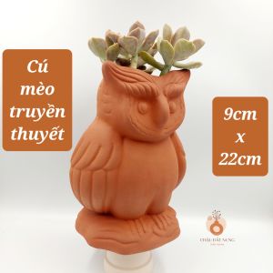 Chậu đất nung chậu sen đá - Cú mèo truyền thuyết 922 miệng chậu 9cm chiều cao 22cm