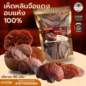 เห็ดหลินจือแดง สายพันธุ์ G2 เห็ดหลินจืออบแห้ง คัดพิเศษขนาด 90 กรัม Lingzhi เห็ดหลินจือ ผลิตใหม่ จาก OTOP