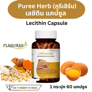 Lecithin เลซิติน แคปซูล ตรา ภูรีเฮิร์บ Puree herb  พอกตับ เผาผลาญ ตับ ความจำ สมอง 1 ขวด 60 เม็ด