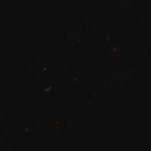 Ingco 400cc Heavy Duty Grease Manual Lubricant Injector Applicator Dispenser GRG015001 - IHT