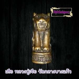 เสือคาบเบี้ยหล่อโบราณ รุ่นแรก 79 ปี 2547 หลวงปู่เจือ วัดกลางบางแก้ว รุ่นพิเศษ โดยใช้ตำราไสยเวทย์ของครูบาอาจารย์ หลวงปู่บุญ