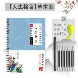 Chinese Writing Stickers 凹槽练字帖 爆款练字帖 成人行书行楷书 硬笔练字字帖 神器字帖反复使用 Learn Chinese For Beginner