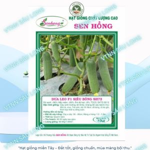 Dưa Leo SH 72 trái dài 16-18cm màu xanh nhạt bóng trái gói 10g ( khoảng 380 đến 400 hạt)