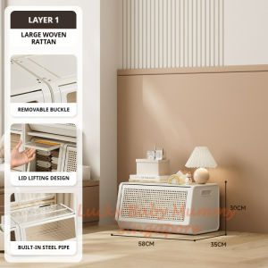 【DAILY ESSENTIAL】 Stackable Storage Box with Lift-Up Door Solid / Rattan-Look / Clear