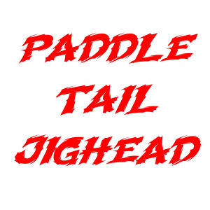 Softlure Paddle Tail Jighead Siap Pakai Umpan Casting Pancing