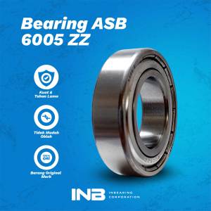 Laker Bearing 6005 ZZ ASB Bearing Noken As KLX 150 Tiger Scorpio INB Original ASB