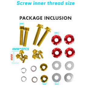 MOKOTO SCREW SET ONLY FOR STREETKING SIDE MIRROR G4313 FLOWER TYPE GOLD BOLTS WITH WASHERS