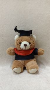 Dreamtoys96 Boneka Wisuda Boneka Bear Wisuda L
