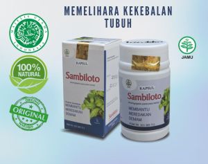 Daun Sambiloto Kapsul Ekstrak Obat Herbal Suplemen Kesehatan Vitamin Daya Tahan Tubuh isi 60.