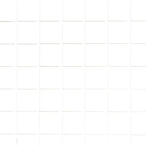 SR12 Body Wash Aloe Vera Sabun Mandi Plus Scrub Melembabkan dan Menyegarkan Kulit