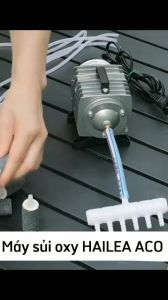 Máy Bơm Oxy Hailea ACO-328 (60W) – Máy Sủi Khí Công Nghiệp Công Suất Lớn Siêu Bền