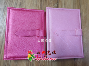 WE 1715 = 耳钉耳环收纳书 Earring Storage Book