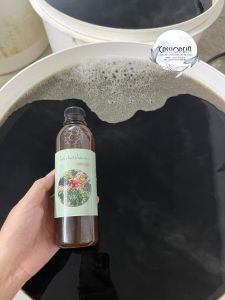 Tinh chất thảo mộc ủ tóc tinh chất mọc tóc giảm rụng và kích mọc tóc nhanh dưỡng tóc mềm mượt chắc khỏe