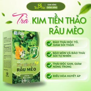 Trà Kim Tiền Thảo Râu Mèo Bổ Thận Lợi Tiểu Thanh lọc Cơ Thể Giảm Sỏi Thận Hộp 30 Túi Lọc