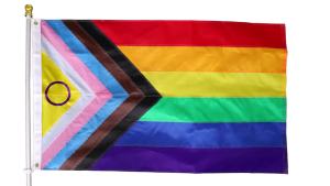 Premium New Progress Pride Flag 3x5 Ft Outdoor Longest Lasting Heavy Duty Nylon 220D Sewn Stripes All Inlcusive Progressive Flags House Decoration Banner