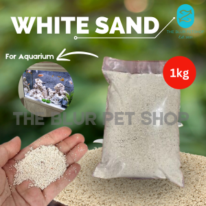 1kg White Fine Sand for Aquascaping or Outdoor Garden Aquarium Fish Accessories Cat Litter Sand