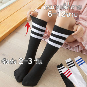 Pulchra ส่งจากไทย 35CMถุงเท้าเด็กยาวเหนือเข่า 6-12ขวบ ผ้าฝ้าย แบบบาง เรียบง่าย กันลม ถุงเท้านักเรียน ถุงเท้าฟุตบอล