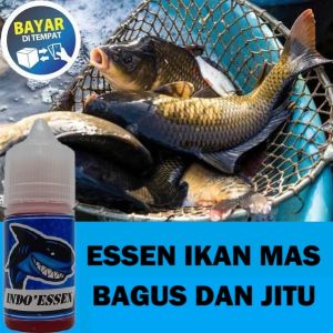 Rekomendasi Essen Ikan Mas Jitu & Viral – Ampuh Buat Lomba Harian KiloGebrus
