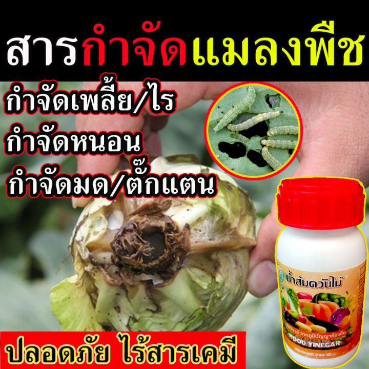 น้ำส้มควันไม้ 290cc กำจัดเพลี้ย ไล่แมลง ไร้สารเคมี
