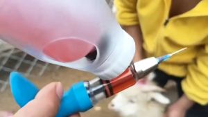 Automatic Syringe with Bottle Guard with 10 pcs needle assorted for animals