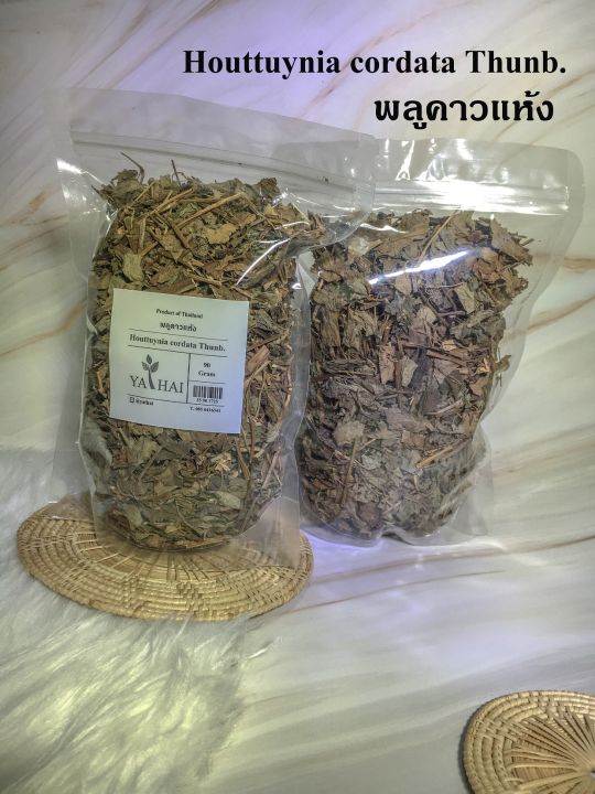 พลูคาวแห้ง Houttuynia cordata Thunb. 90 กรัม 1ถุง สมุนไพร ธรรมชาติ ดูแล ...