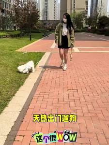 Portable Dog Water Bottle Feeder Leakproof Pet Travel Drink Dispenser Outdoor Walking Puppy Drinking Cup Food Container