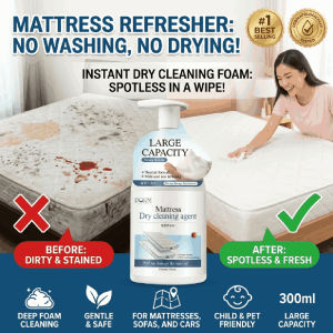 No-Rinse Mattress Cleaning Spray Fabric Sofa Upholstery Stain Cleaning Agent Anti-Bacterial Fungal Lice Mold Dust Mites Spray