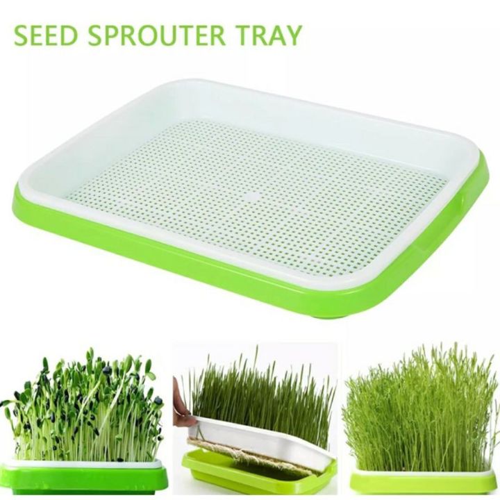 New Sprout Tray With Grid SoilFree Hydroponic Bean Sprout Microgreens