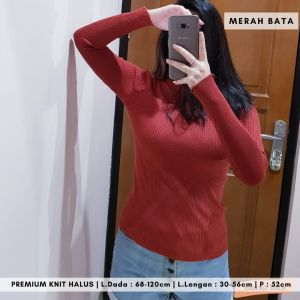 2446 TURTLE LONG KNIT