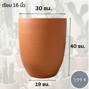 กระถางดินเผาแนววินเทจ สไตล์คลาสสิค ทรงสูง16 นิ้ว ใบใหญ่ ขนาด12x16นิ้ว เคลือบกันเชื้อราแล้ว สวย แข็งแรงทนทาน ใช้แต่งบ้านและสวน