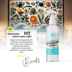 My Home 117 A DE GIO Premium Room and Linen Disinfectant Spray Paraben Free Car Bathroom House Home