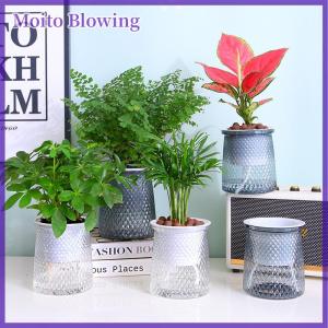 Moito กระถางต้นไม้พลาสติกใสรดน้ำเองสองชั้นแจกันดอกไม้อัตโนมัติกระถางต้นไม้สำหรับตกแต่งกระถางดอกไม้ไฮโดรโพนิก
