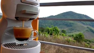 ดาววาวี 500 กรัม กาแฟ คั่วบด กลาง กลางเข้ม เชียงราย อาราบิก้า 100% คู่บางปัจจุบัน