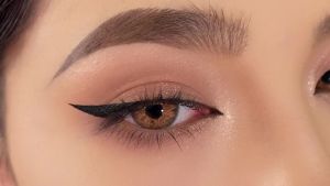 Brown fallen leaves Frameless contact 14.5mm hot selling colored contact es Yearly Use