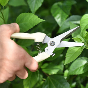 2pcs Garden Pruning Shears Set Flower Fruit Tree Garden Shears Shears Carbon