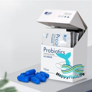 Yee Probiotics Nitrifying Bacteria Nitrobacteria Nitrifier Premium BT Grade 5pieces HappyFishLife