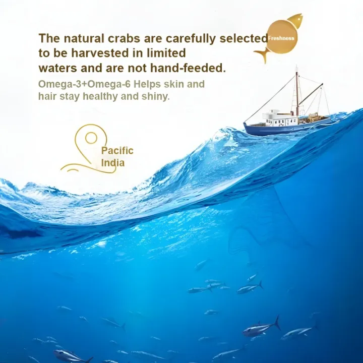 Extra%20Large%20King%20Crab%20Whole%20Leg%20Meat%20Hokkaido%20Selection%20Cooked%20Frozen%20Premium%20Quality%20Seafood%20Family%20Feast-152c4c8b%20-%20Image%203