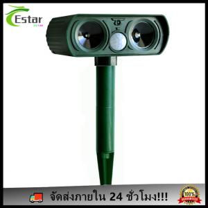 หนูโซลาร์เมซิต